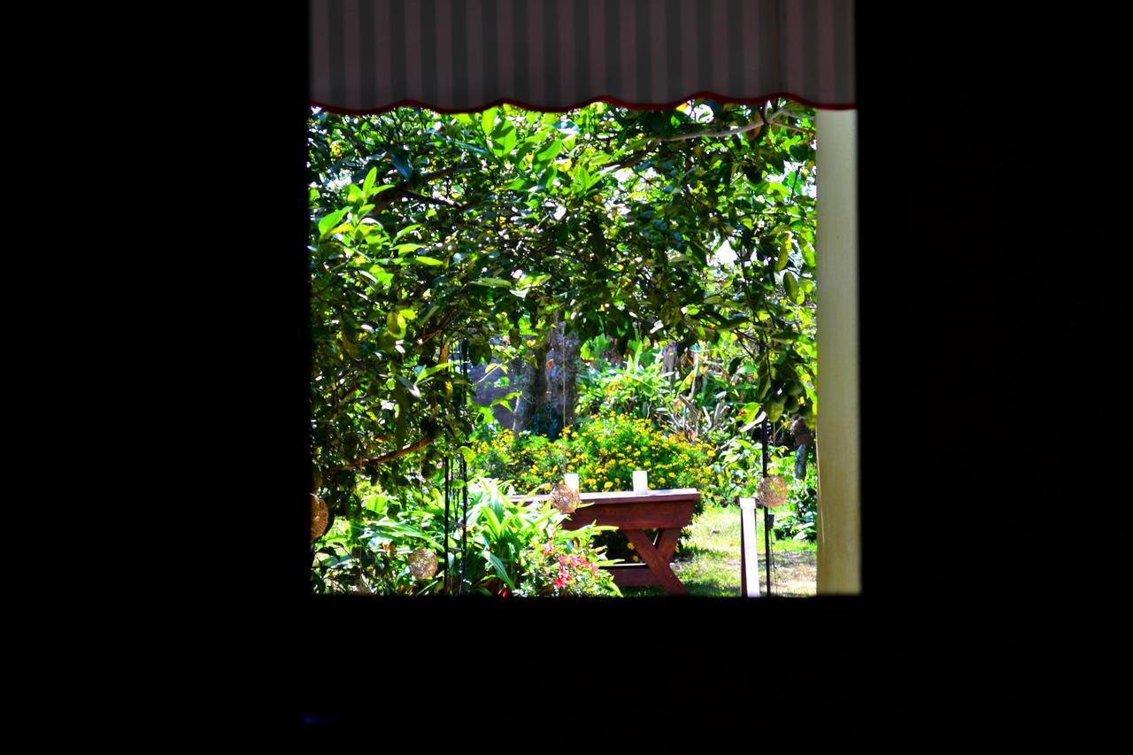 Hotel Casa Aura Cartago Esterno foto